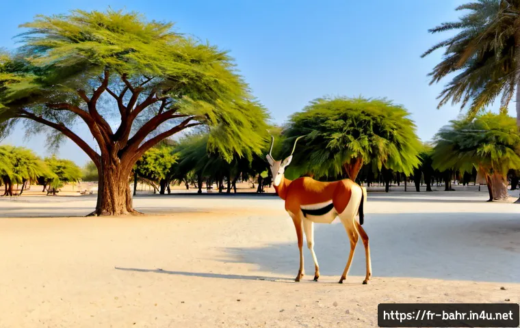 바레인의 동물원 - Photorealistic wide view of a Bahrain wildlife park at golden hour, graceful Arabian oryx standing b...